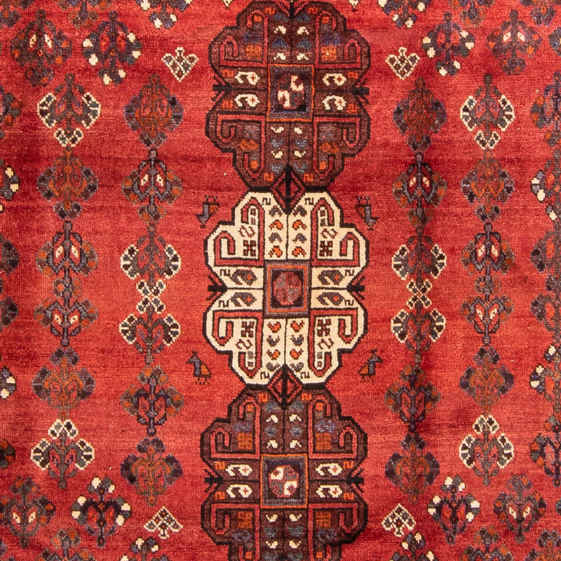 Shiraz Teppe 323x235cm - Persisk teppe