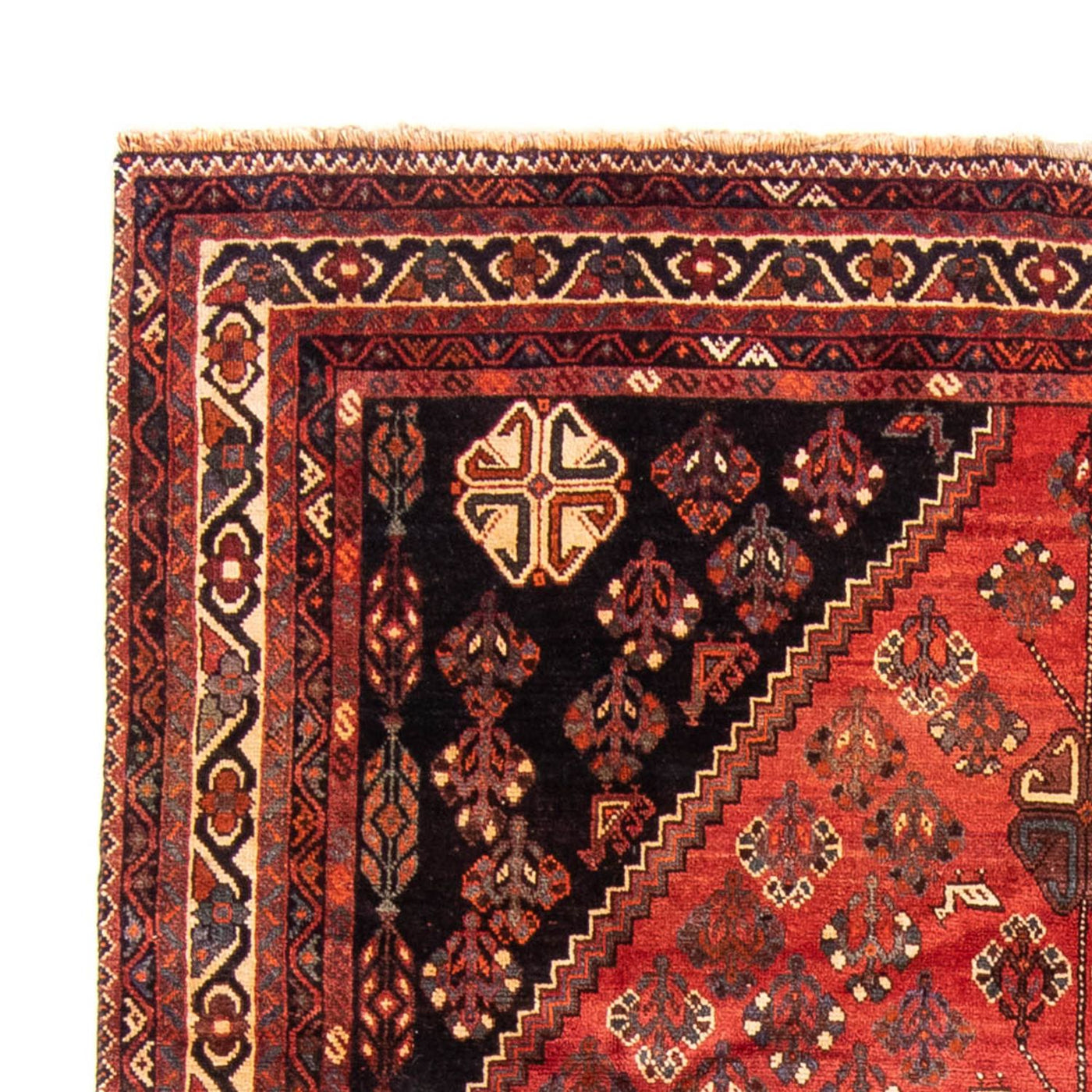 Shiraz Teppe 323x235cm - Persisk teppe