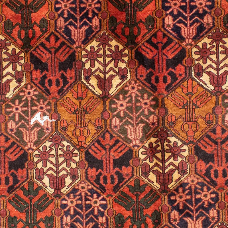 Bakhtiari Teppe 210x288cm - Persisk teppe