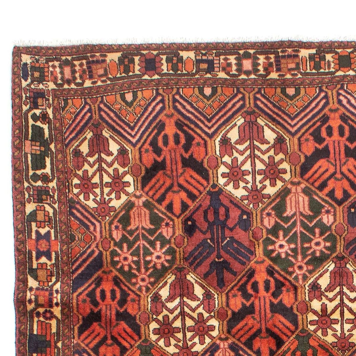 Bakhtiari Teppe 210x288cm - Persisk teppe