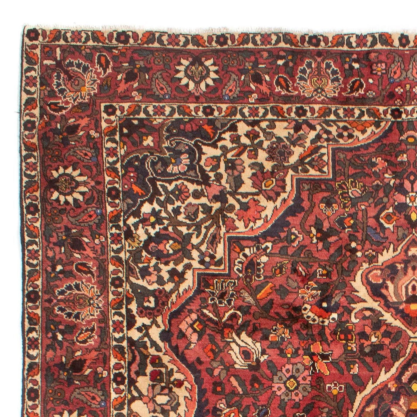 Bakhtiari Teppe 302x209cm - Persisk teppe