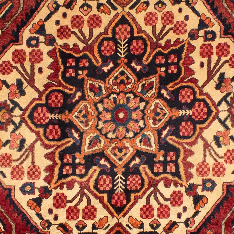 Bakhtiari Teppe 318x211cm - Persisk teppe