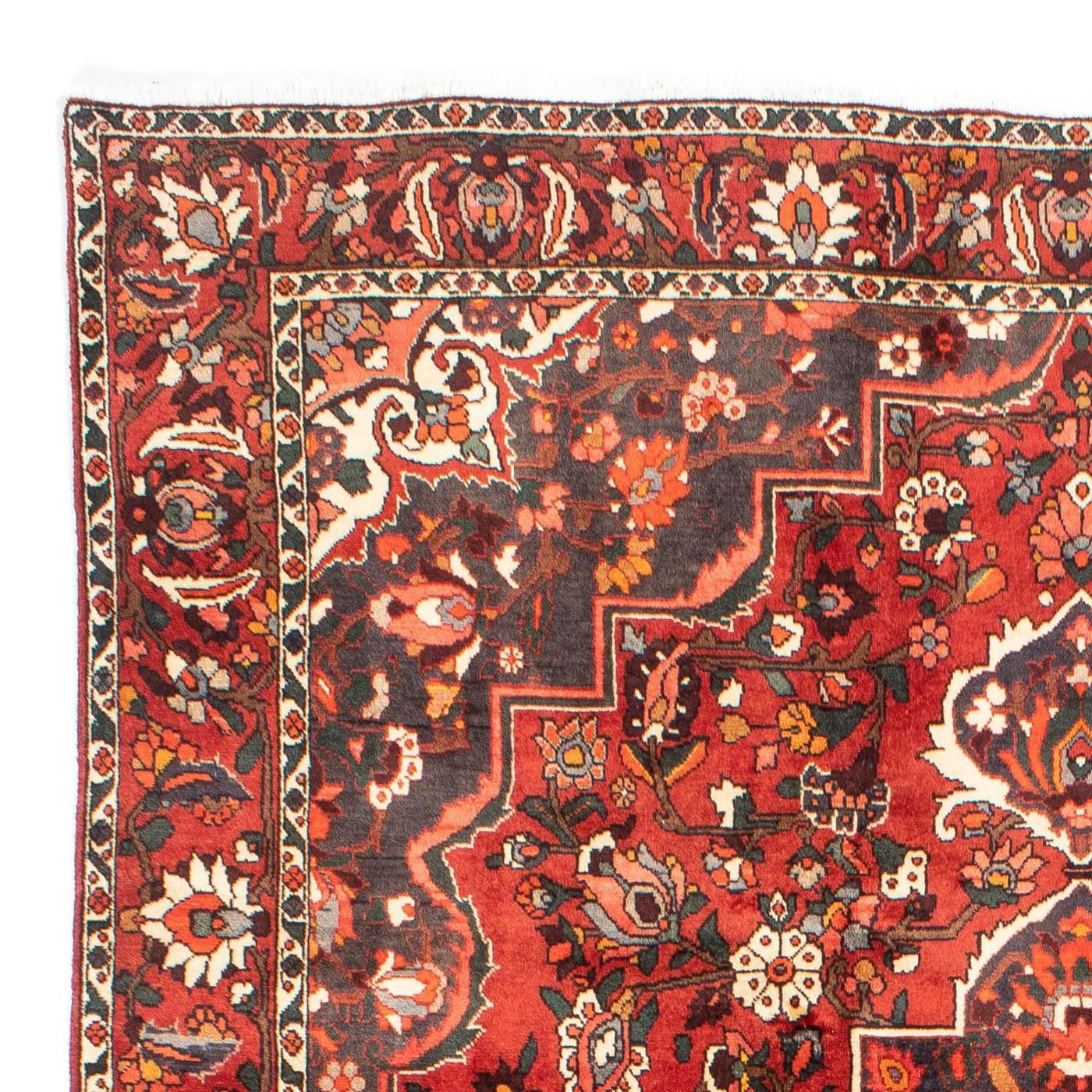 Bakhtiari Teppe 300x207cm - Persisk teppe