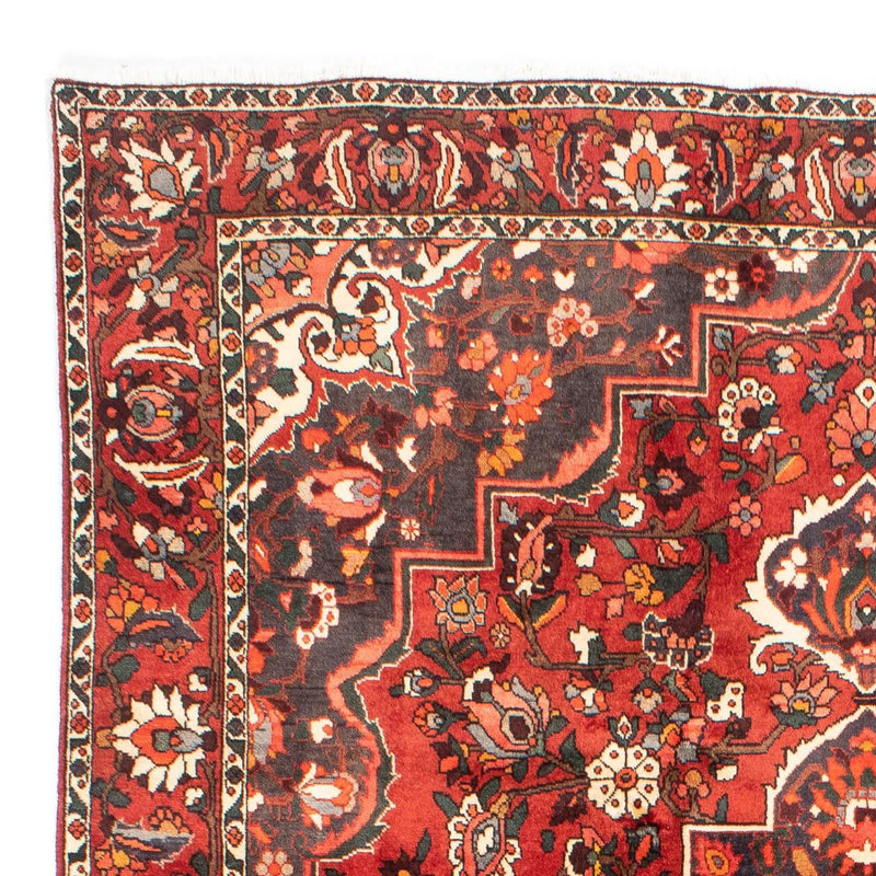 Bakhtiari Teppe 300x207cm - Persisk teppe