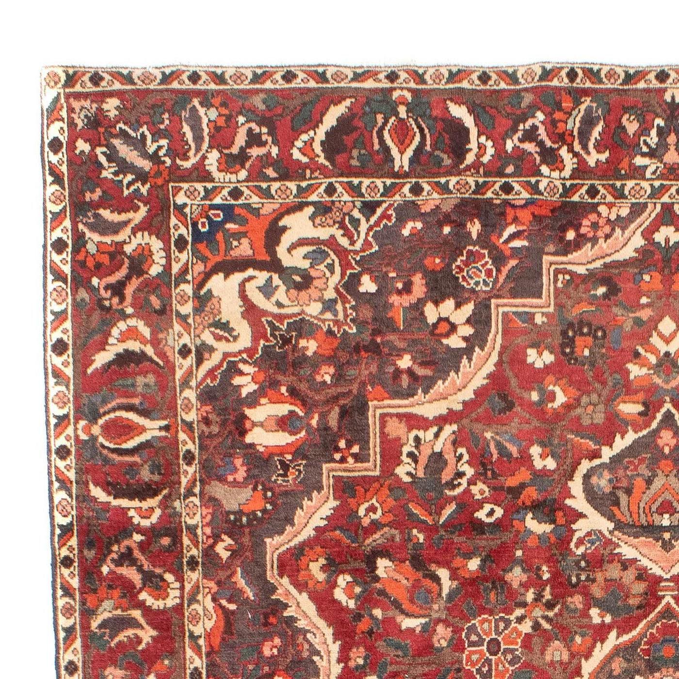 Bakhtiari Teppe 294x205cm - Persisk teppe