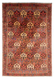 Bakhtiari Teppe 205x297cm - Persisk teppe