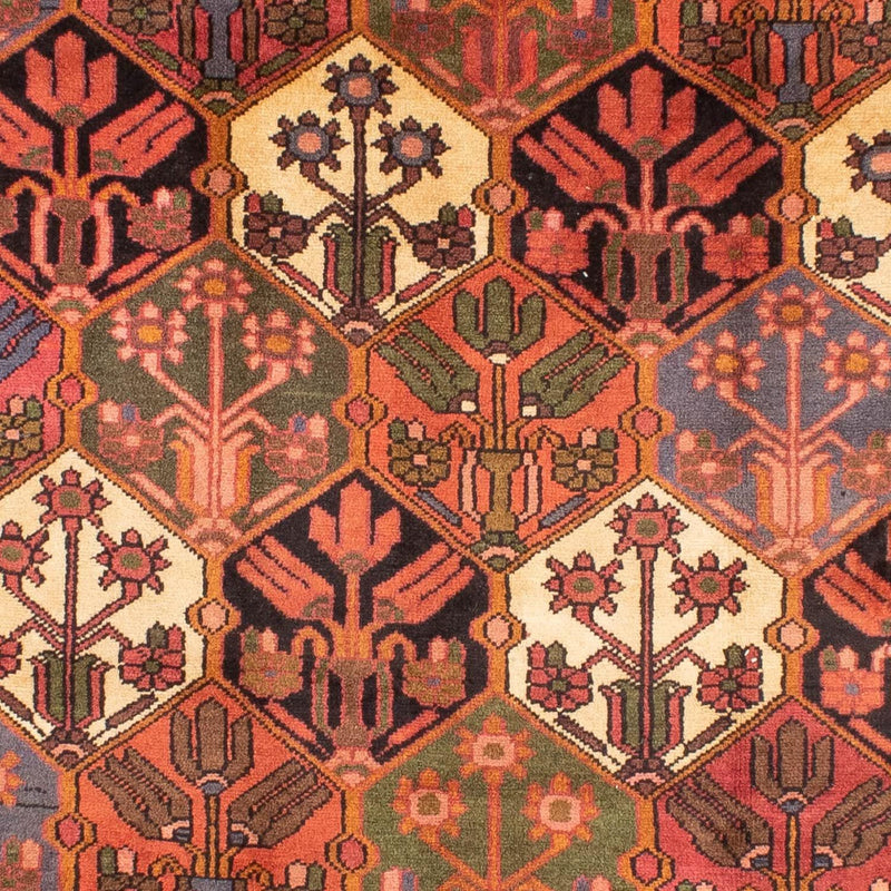 Bakhtiari Teppe 205x297cm - Persisk teppe