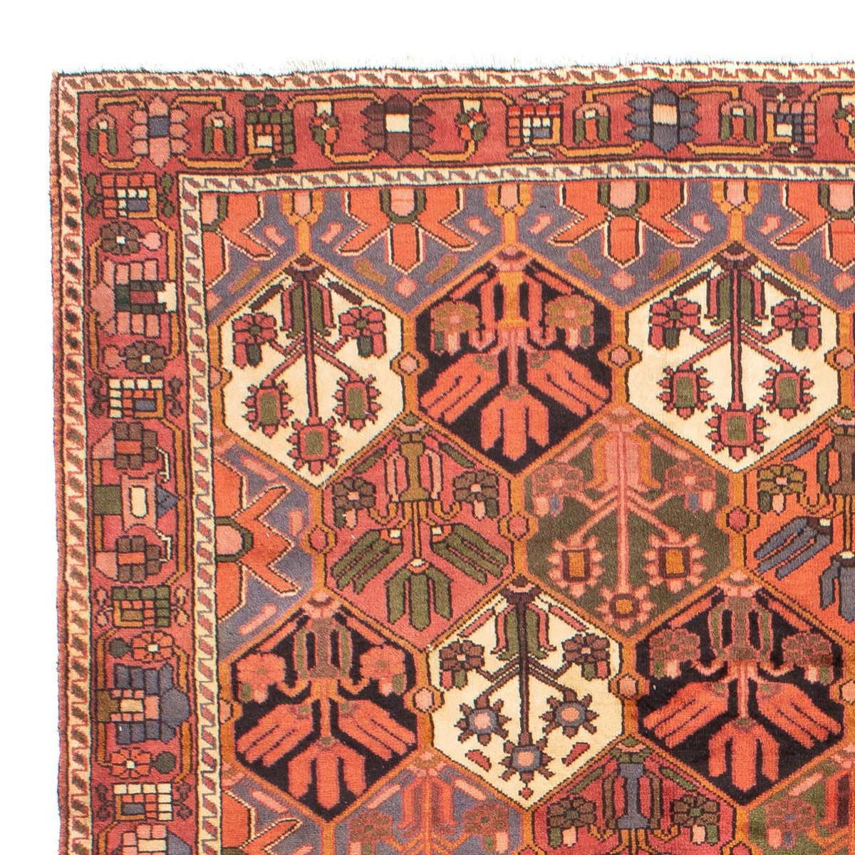 Bakhtiari Teppe 205x297cm - Persisk teppe