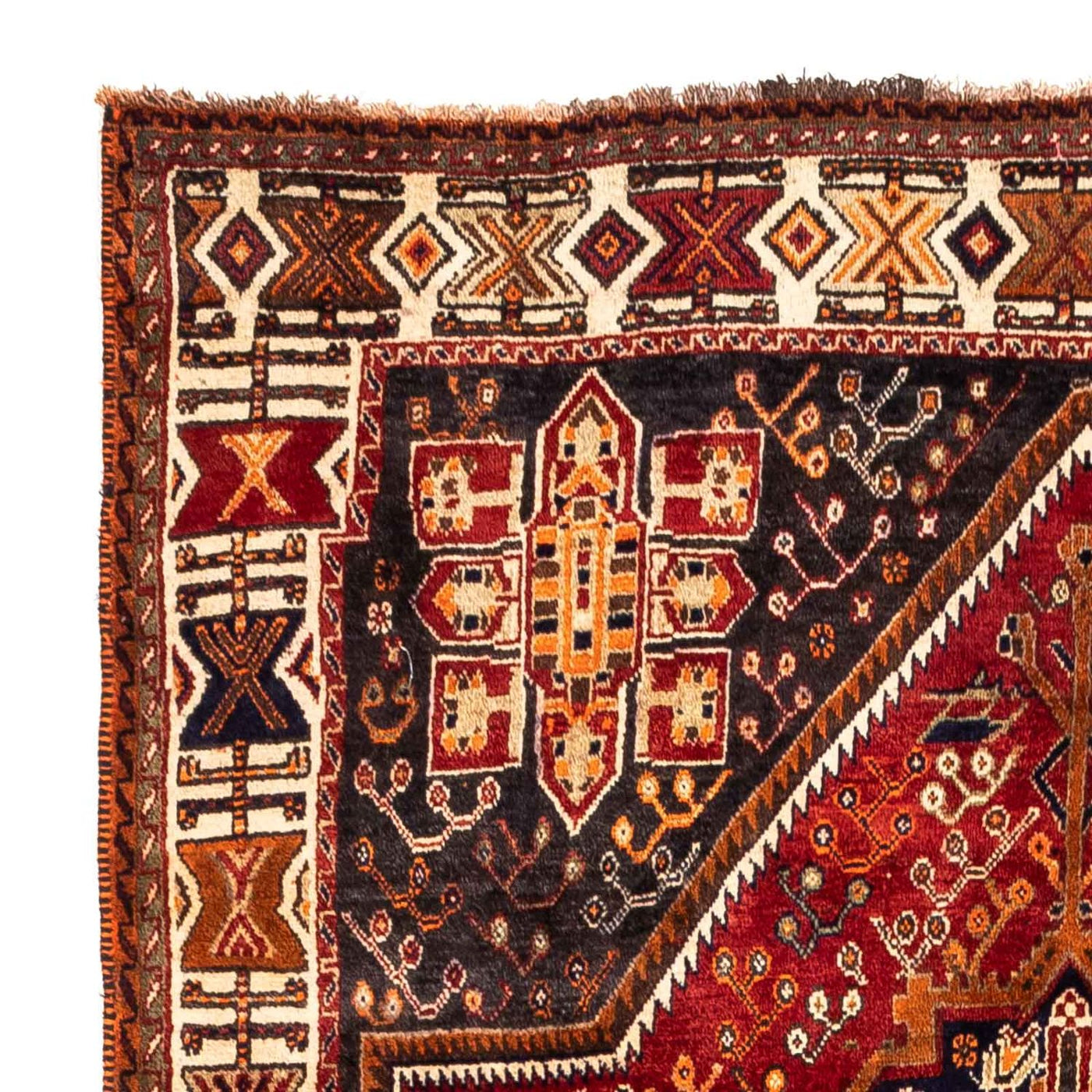 Shiraz Teppe 257x160cm - Persisk teppe