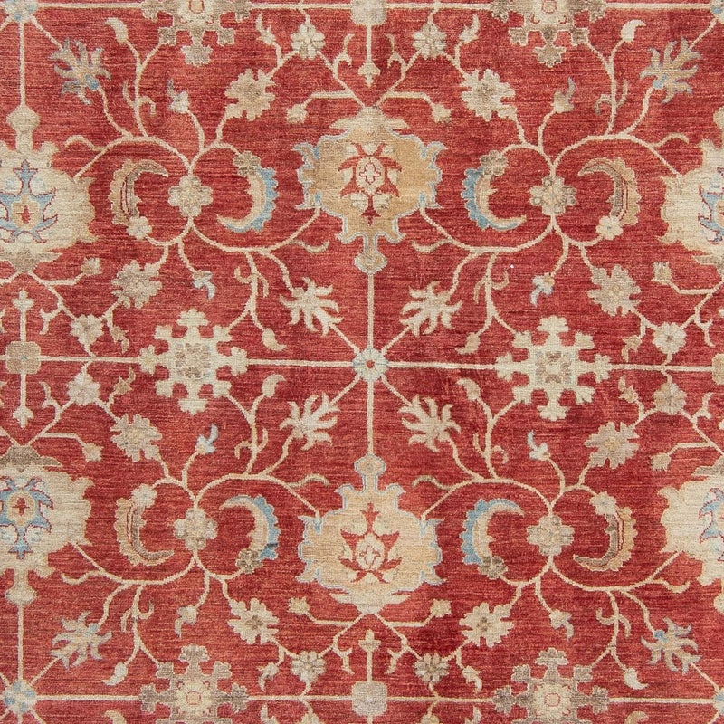 Ziegler Teppe 318x244cm - Orientalsk teppe