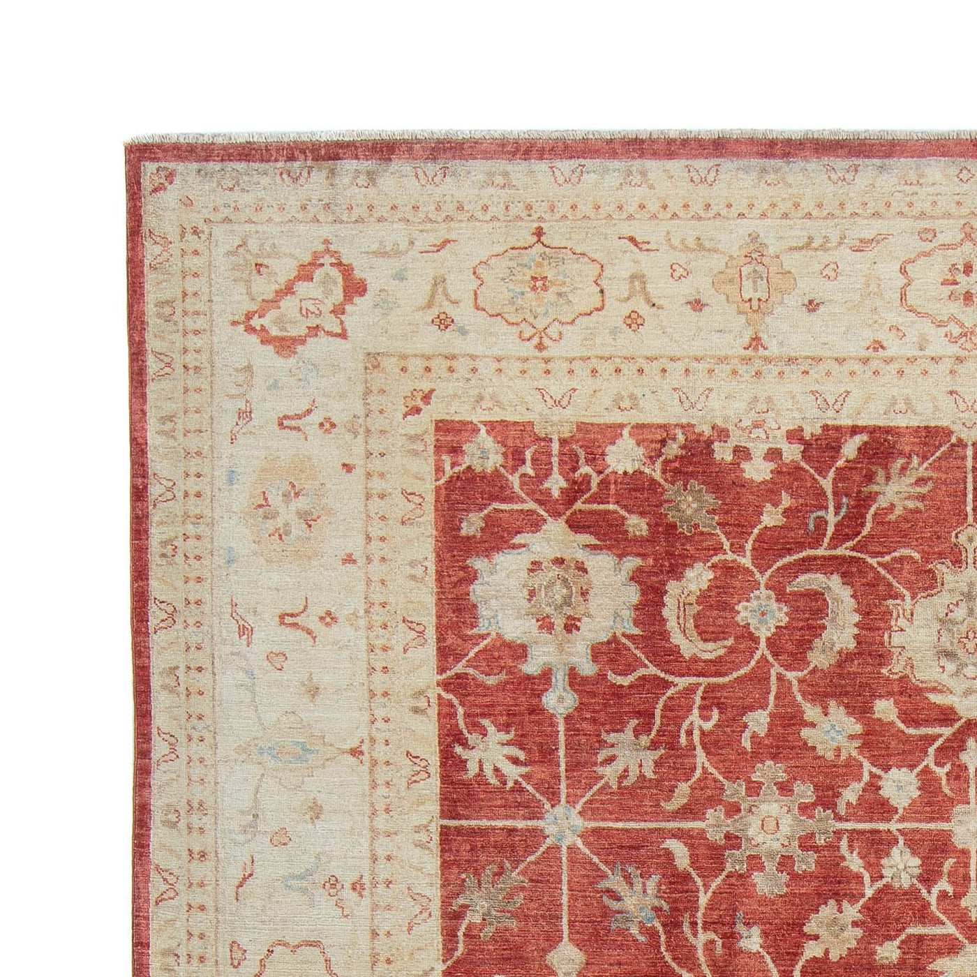 Ziegler Teppe 318x244cm - Orientalsk teppe