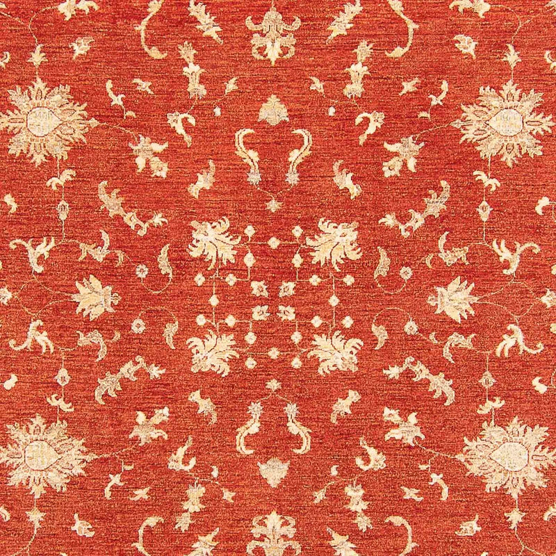 Ziegler Teppe 341x250cm - Orientalsk teppe