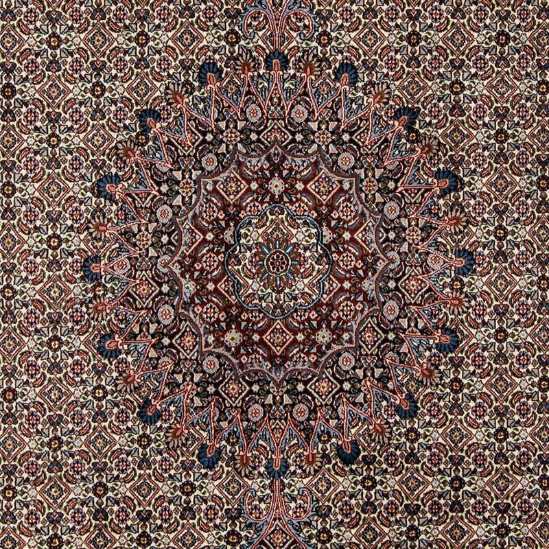 Moud Teppe 290x204cm - Persisk teppe