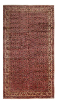 Bidjar - Takab Teppe 482x256cm - Persisk teppe – product image