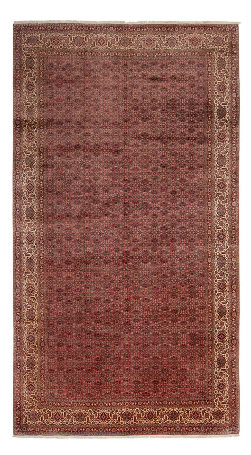 Bidjar - Takab Teppe 482x256cm - Persisk teppe