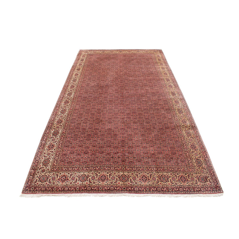 Bidjar - Takab Teppe 482x256cm - Persisk teppe