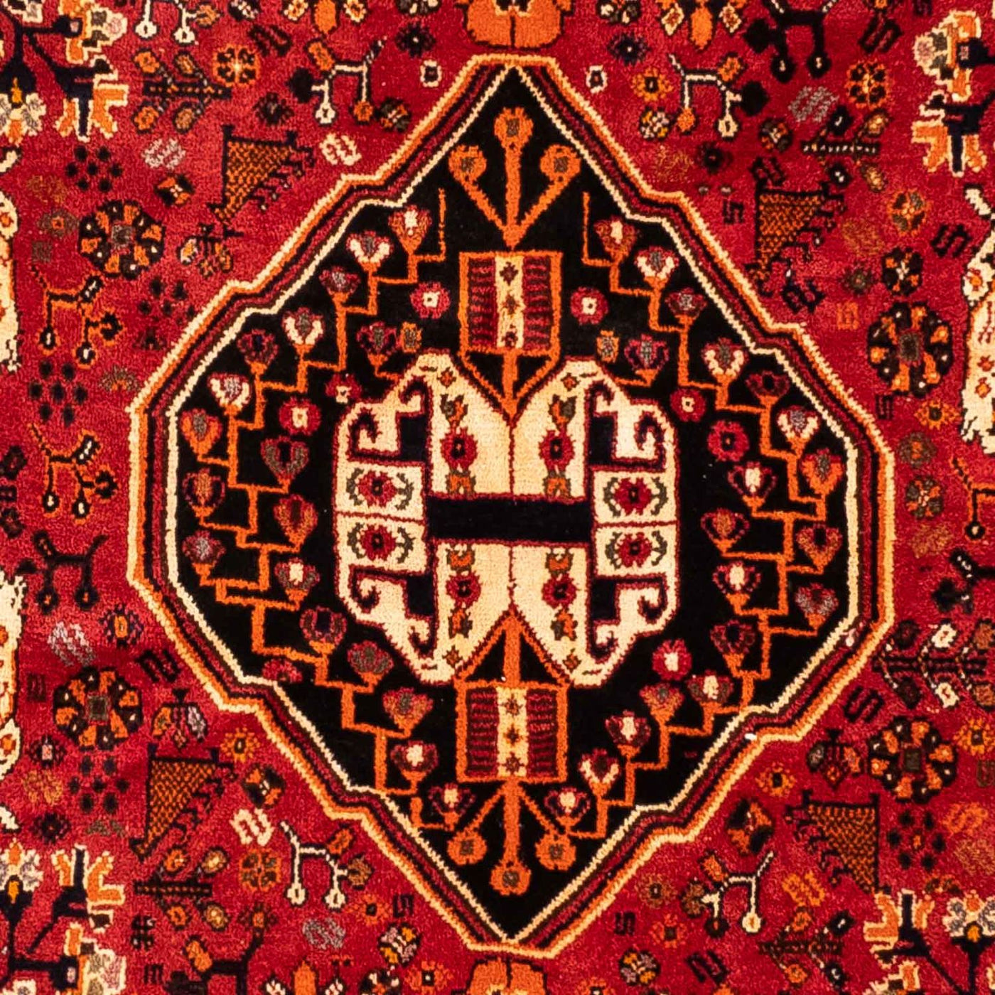 Shiraz Teppe 248x160cm - Persisk teppe