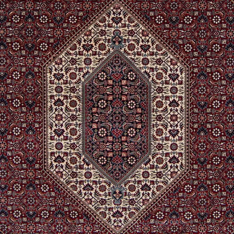 Bidjar - Takab Teppe 249x303cm - Persisk teppe