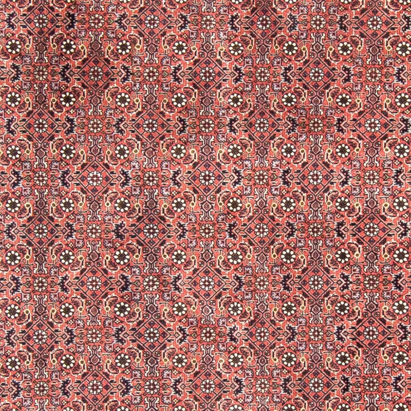 Bidjar Teppe 300x300cm - Persisk teppe