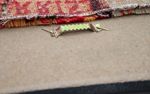 Bilde teppe 120x70cm - Orientalsk teppe