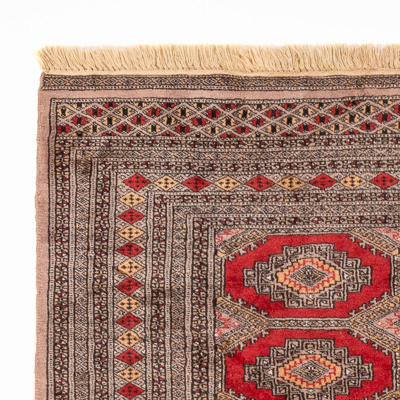 Pakistan teppe 165x124cm - Orientalsk teppe
